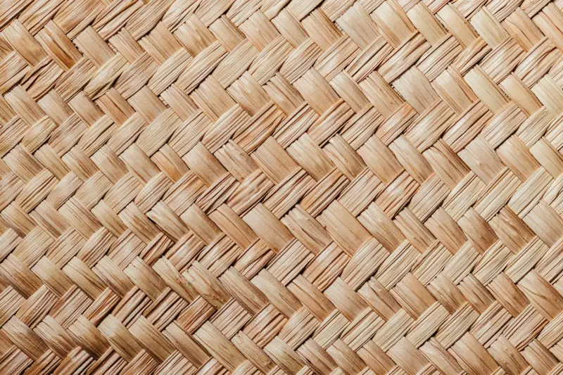 污泥减量技术有哪些